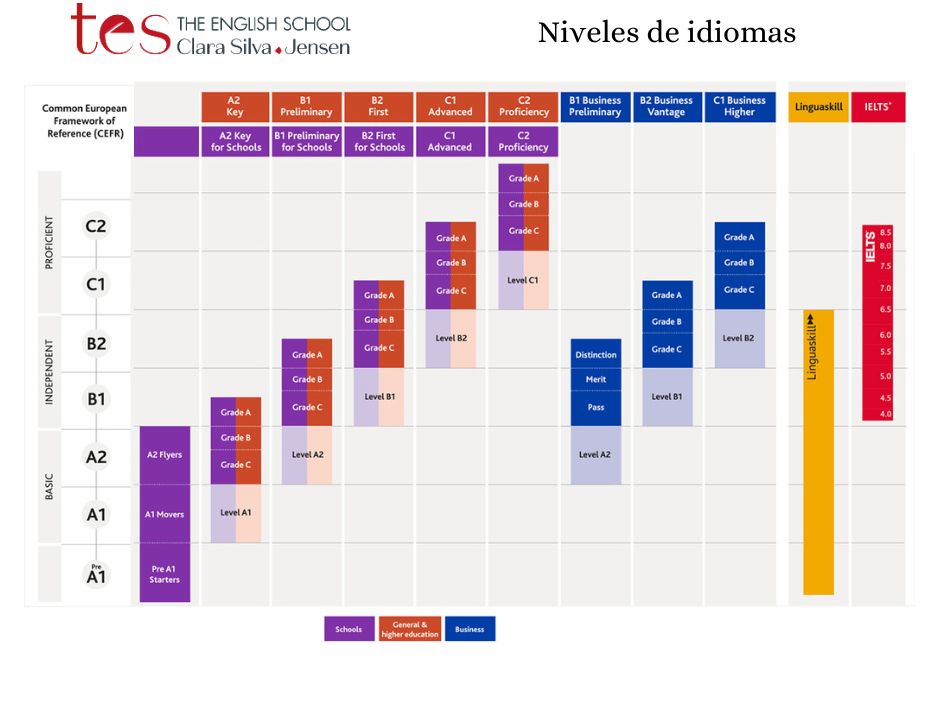 Niveles de idiomas B1, B2, C1 y C2